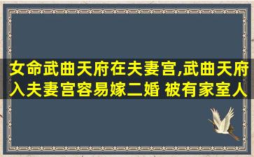 女命武曲天府在夫妻宫,武曲天府入夫妻宫容易嫁二婚 被有家室人追求